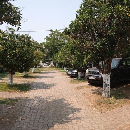 Pension Alexandros Preveza Exteriér fotografie